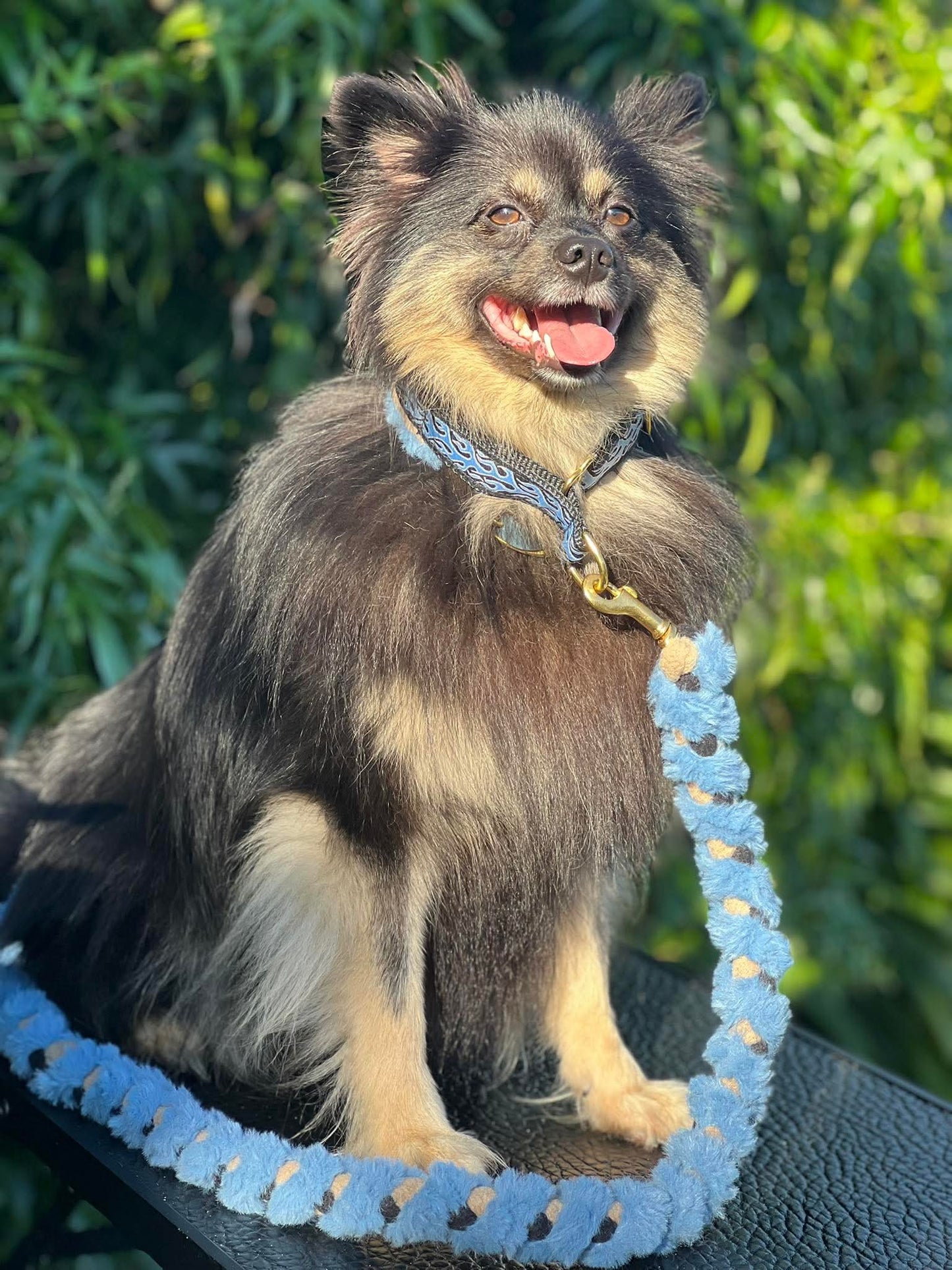 Custom Orders - Fluffy Braided Adjustable Limited Slip Lead Sets -