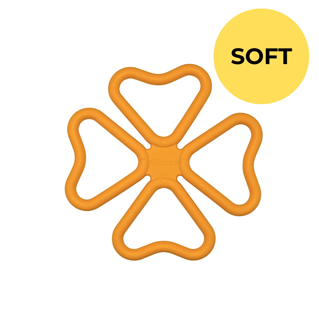 BUY One GET 50% off one - – FIBSY SOFT & FIBOOWL SPIKY & SNACK FIBEEK + LID