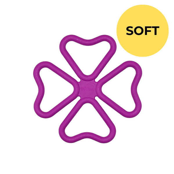 BUY One GET 50% off one - – FIBSY SOFT & FIBOOWL SPIKY & SNACK FIBEEK + LID